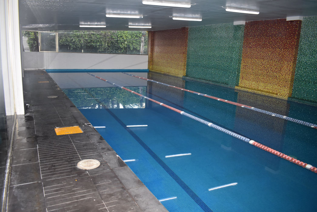 ESCUELA DE NATACIÓN PEDREGAL